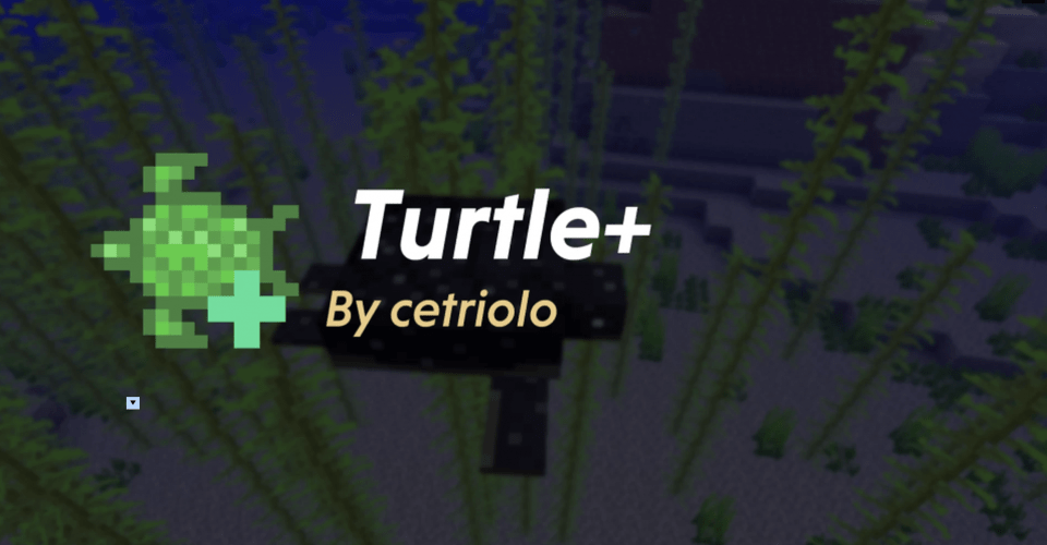turtle-mod-minrcraft-pe